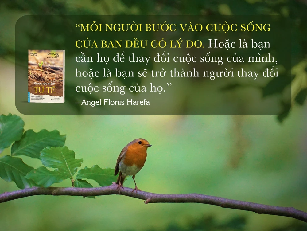 gieo-hat-mam-tu-te 6.jpg