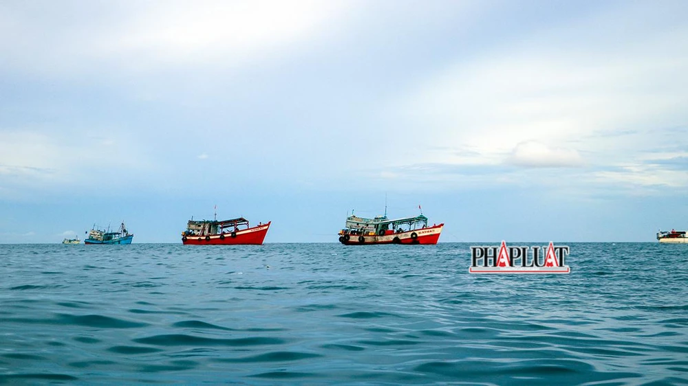 UBND tỉnh Kiên Giang yêu cầu kiên quyết không cho xuất bến các tàu cá không đủ điều kiện theo các quy định của pháp luật. Ảnh minh họa: CHÂU ANH