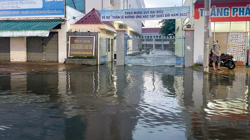 Thanh tra xác định, sai sót trong đấu thầu với Công ty AIC, trách nhiệm thuộc về Giám đốc Sở, Tổ chuyên gia đấu thầu và Tổ mua sắm giai đoạn 2014-2016. Ảnh: CHÂU ANH