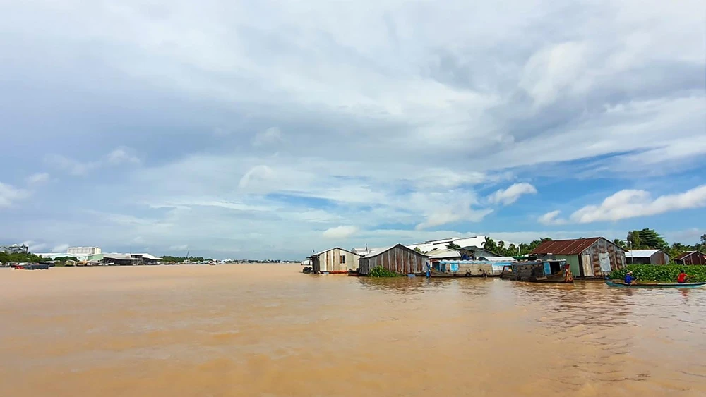 Đa số các lồng, bè nuôi cá trên sông đều chưa được cơ quan quản lý chuyên ngành thủy sản cấp giấy xác nhận đăng ký nuôi trồng theo quy định. Ảnh: CHÂU ANH Đa số các lồng, bè nuôi cá trên sông đều chưa được cơ quan quản lý chuyên ngành thủy sản cấp giấy xác nhận đăng ký nuôi trồng theo quy định. Ảnh: CHÂU ANH