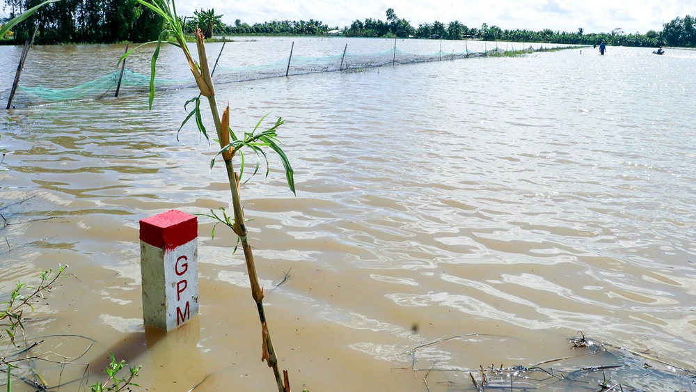 Công tác GPMB, bồi thường, hỗ trợ, tái định cư các tuyến cao tốc trên địa bàn tỉnh Hậu Giang được địa phương tiến hành khẩn trương, nghiêm túc. Ảnh minh họa: MINH THƯ