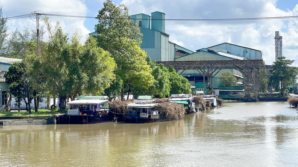 Thanh tra Ủy ban CKNN xử phạt Công ty mía đường Cần Thơ 85 triệu đồng vì Công ty này đã không báo cáo đối với thông tin phải báo cáo theo quy định pháp luật. Ảnh: CHÂU ANH