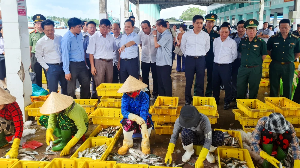 Phó Thủ tướng Trần Lưu Quang cùng đoàn công tác đến thị sát Cảng cá Tắc Cậu (huyện Châu Thành, tỉnh Kiên Giang). Ảnh: HIẾU LÂM