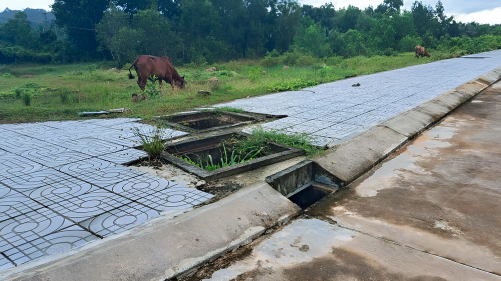 Xung quanh khu vực dự án có nhiều hố ga bị mất nắp đậy tiềm ẩn nhiều nguy hiểm. Ảnh: HOÀNG HỮU