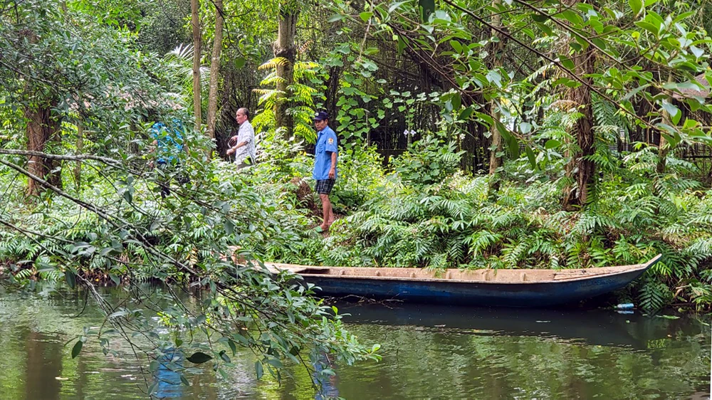 Cá sấu xổng chuồng ở Kiên Giang