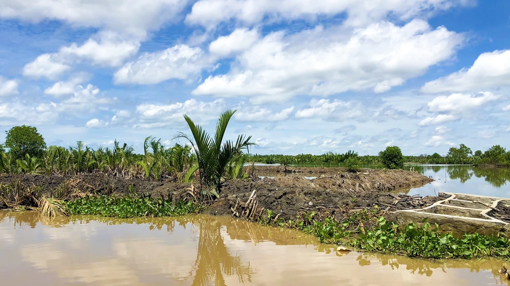 xử lý tình trạng lấn chiếm đất đầm Đông Hồ ở Hà Tiên