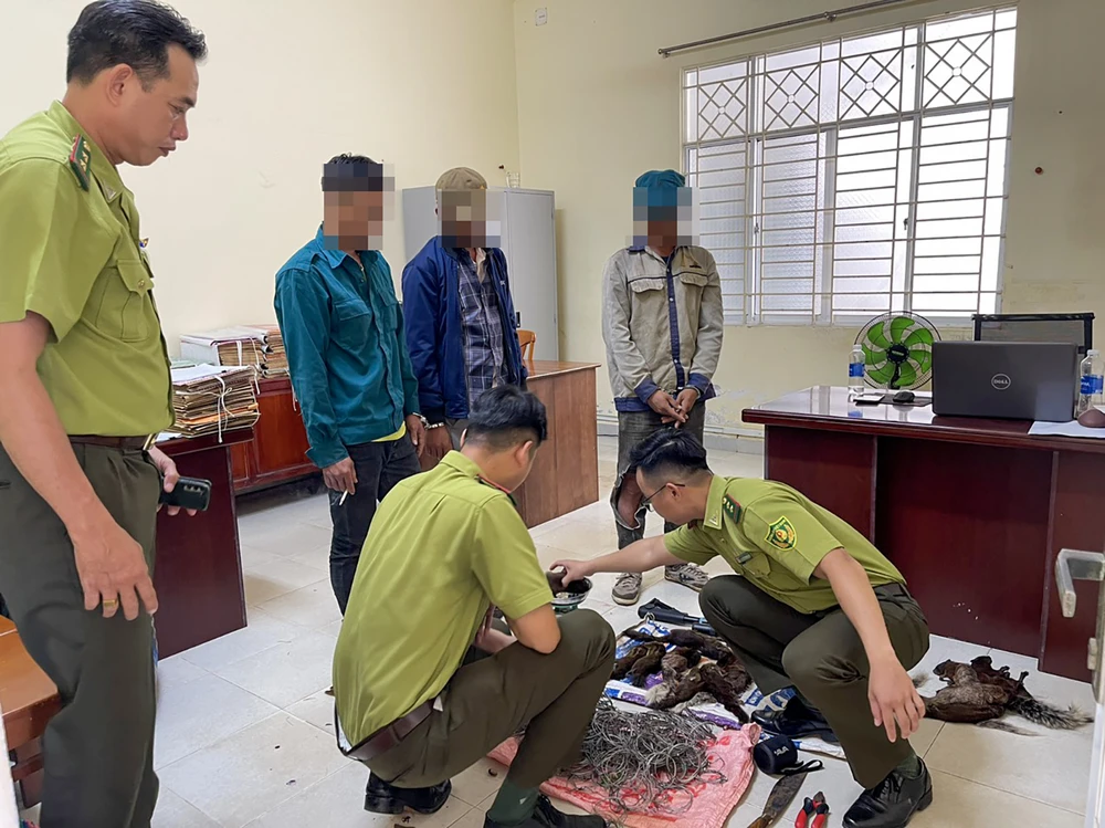 Hạt Kiểm lâm Vườn quốc gia Phú Quốc bắt 3 người săn, bắt động vật rừng