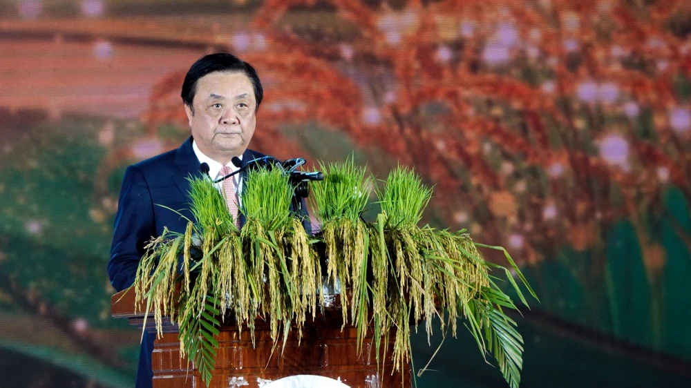 Hậu Giang khai mạc Festival Quốc tế ngành hàng lúa gạo Việt Nam