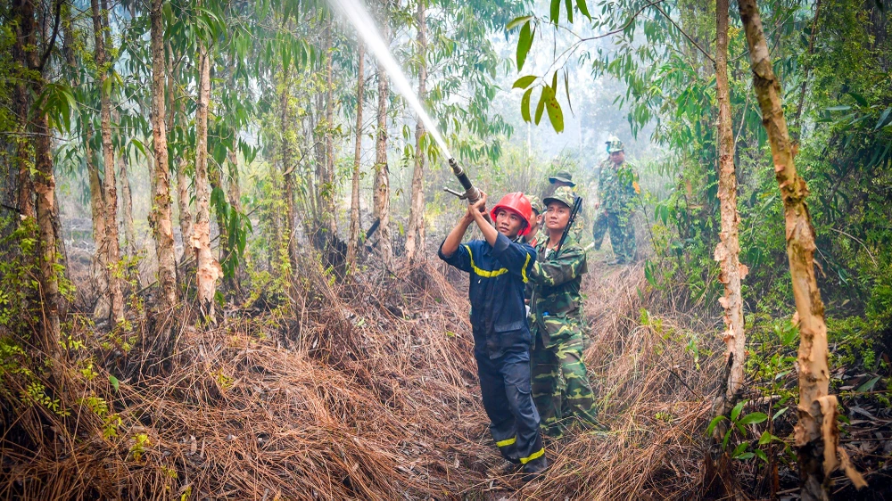 Kiên Giang: Cháy rừng tràm ở huyện Giang Thành