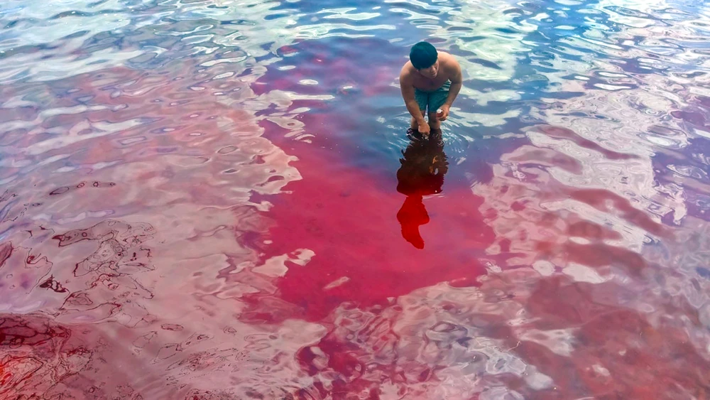 Xuất hiện hiện tượng thủy triều đỏ ở xã Thổ Châu