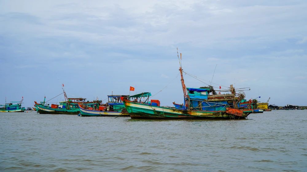 Tỉnh Kiên Giang đã nhập căn cước công dân lên VNFishbase đạt tỉ lệ hơn 97%