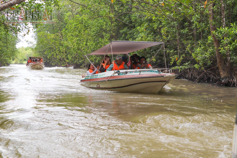 du-lich-tinh-ca-mau-xuyen-rung-mui-ca-mau-3.jpg