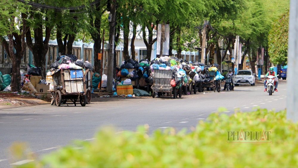TP Cần Thơ yêu cầu chọn khẩn trương tham mưu phương án xử lý rác thải
