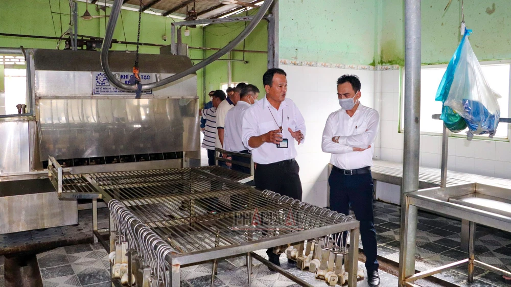 Vụ Công ty C.P bị tố bán thịt heo bệnh