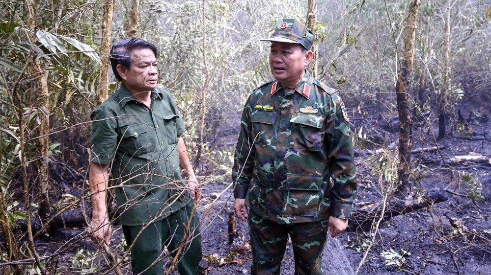 chay-rung-an-giang-5.jpg