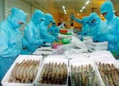 Nóng: Mỹ áp thuế 0% đối với tôm xuất khẩu Việt Nam