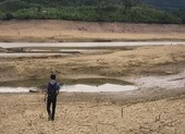 Nguy cơ mất mùa vì hạn hán ở miền Trung