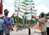Bộ Công Thương hỏa tốc xin ý kiến xuất khẩu gạo nếp