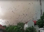 Vĩnh Phúc: Lốc xoáy làm 3 người chết, nhiều người bị thương