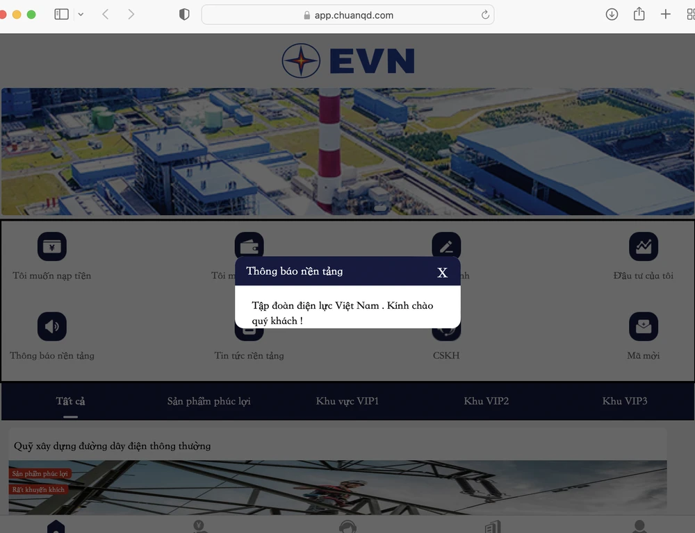 Giao diện trang web giả mạo thương hiệu của Tập đoàn Điện lực Việt Nam. Ảnh chụp màn hình