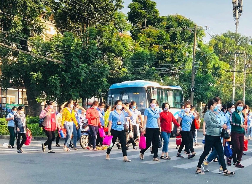 Trong số các DN còn hoạt động năm 2023, có 71.2% dự kiến giảm quy mô lao động trên 5%, trong đó có 22.2% dự kiến giảm trên 50%. Ảnh minh hoạ: PHONG ĐIỀN