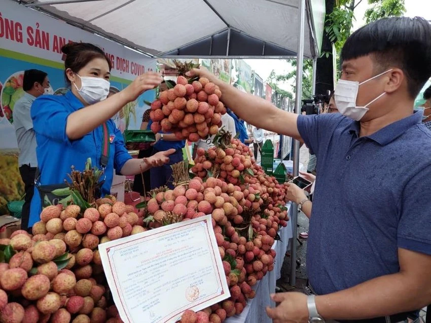 Thủ tướng giao các Bộ Công Thương, NN&amp;PTNT có giải pháp đẩy mạnh tiêu thụ các loại nông sản đang trong thời vụ thu hoạch tại thị trường trong nước. Ảnh: AH
