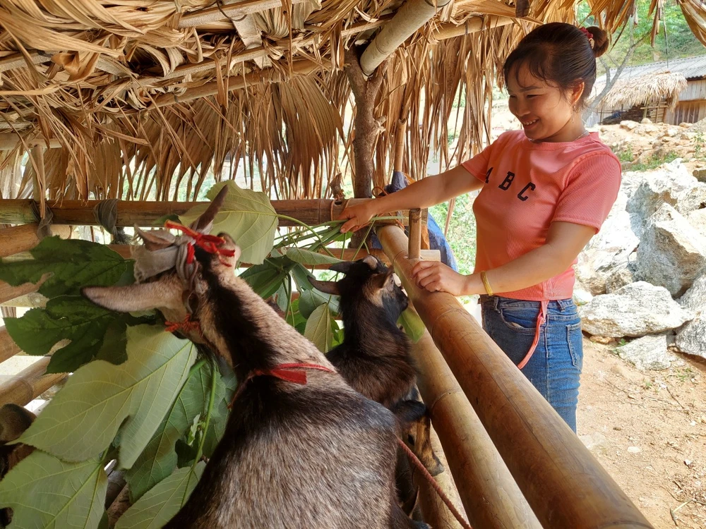 dân tộc thiểu số