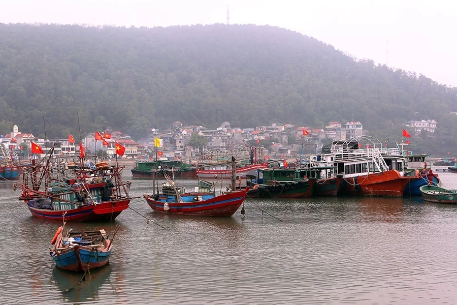 Thủ tướng yêu cầu tập trung xử lý vi phạm về hệ thống giám sát hành trình tàu cÁ....jpg