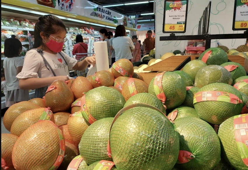 bưởi Việt Nam.jpg