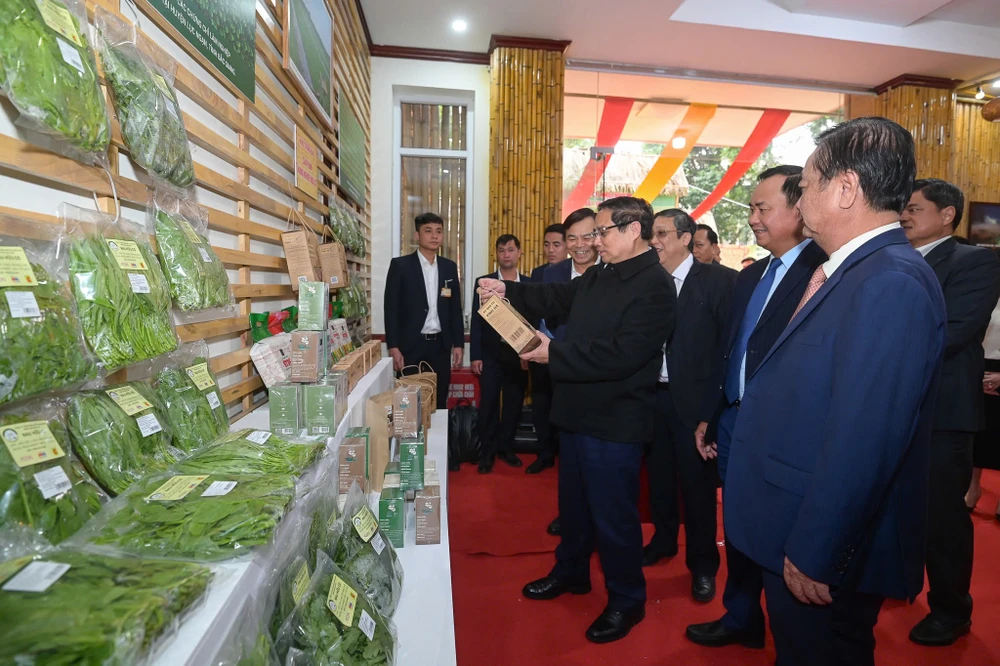 xuất khẩu Việt Nam.jpg