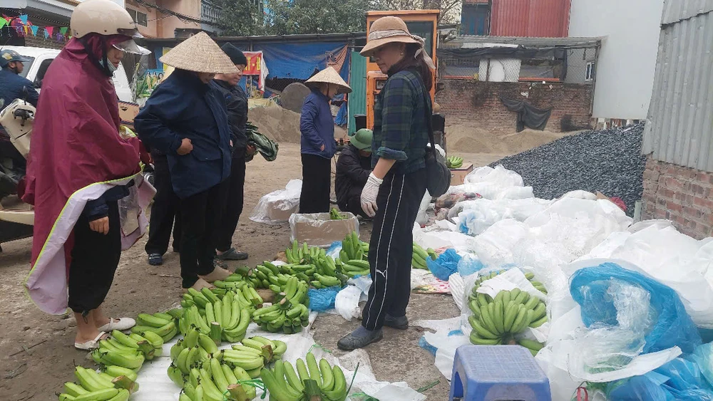 nải chuối xanh.jpg