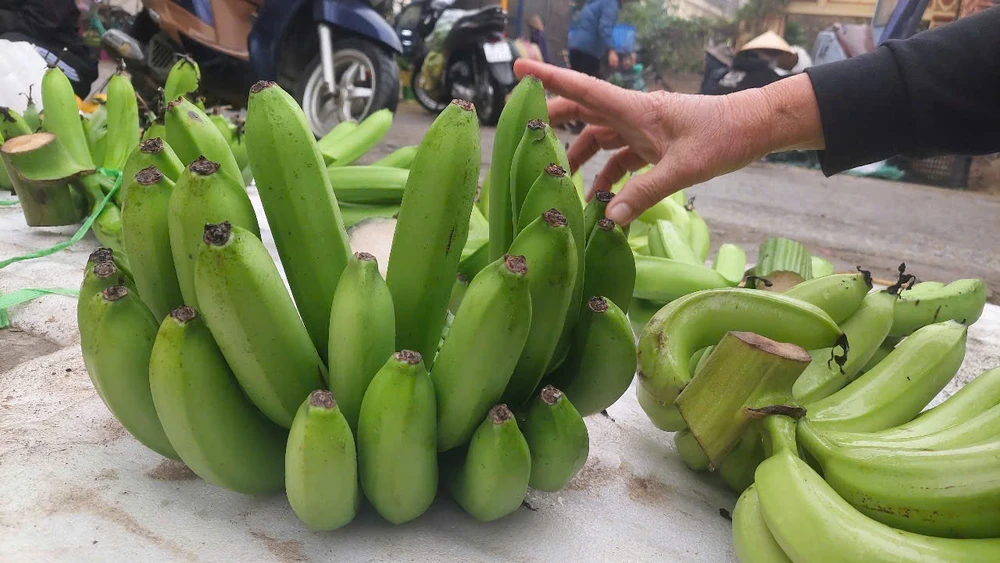 NẢI CHUỐI XANH..jpg