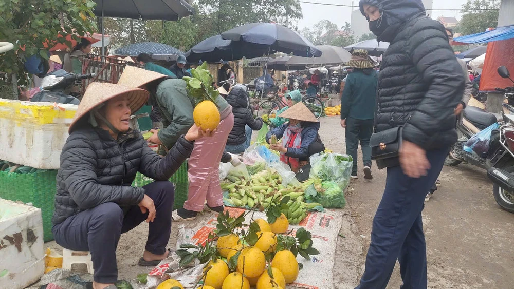 giá trái cây..jpg