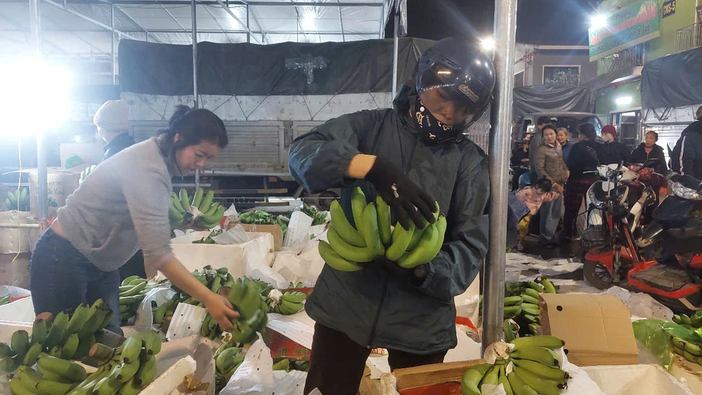 chuối tiêu xanh 3.jpg