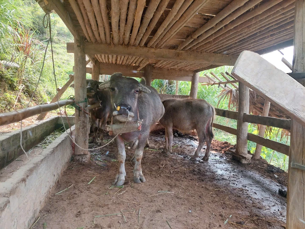 không khí lạnh...jpg