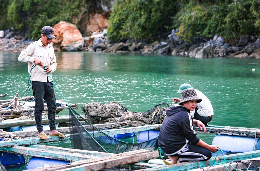 cùng ngư dân thắp sáng đèn trên biển::.jpg