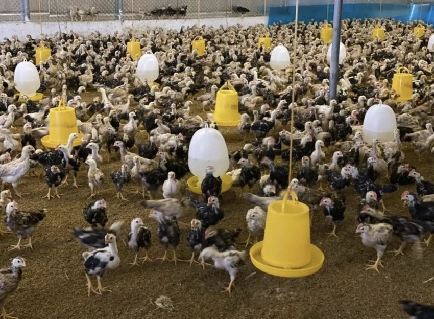 bộ nông nghiệp và môi trường.jpg