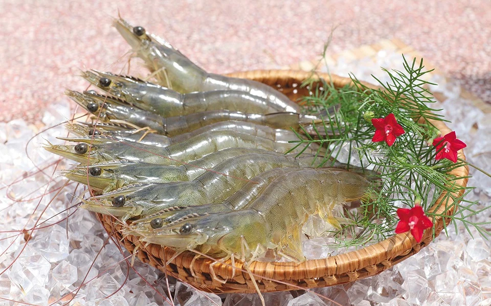 Xuất khẩu tôm.png