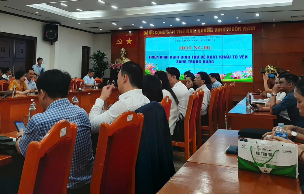 tổ yến xuất khẩu.jpg