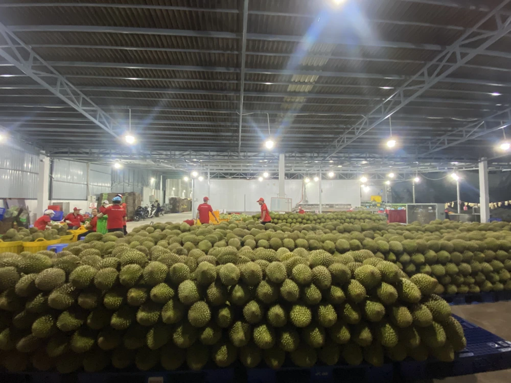 vua trái cây...jpg