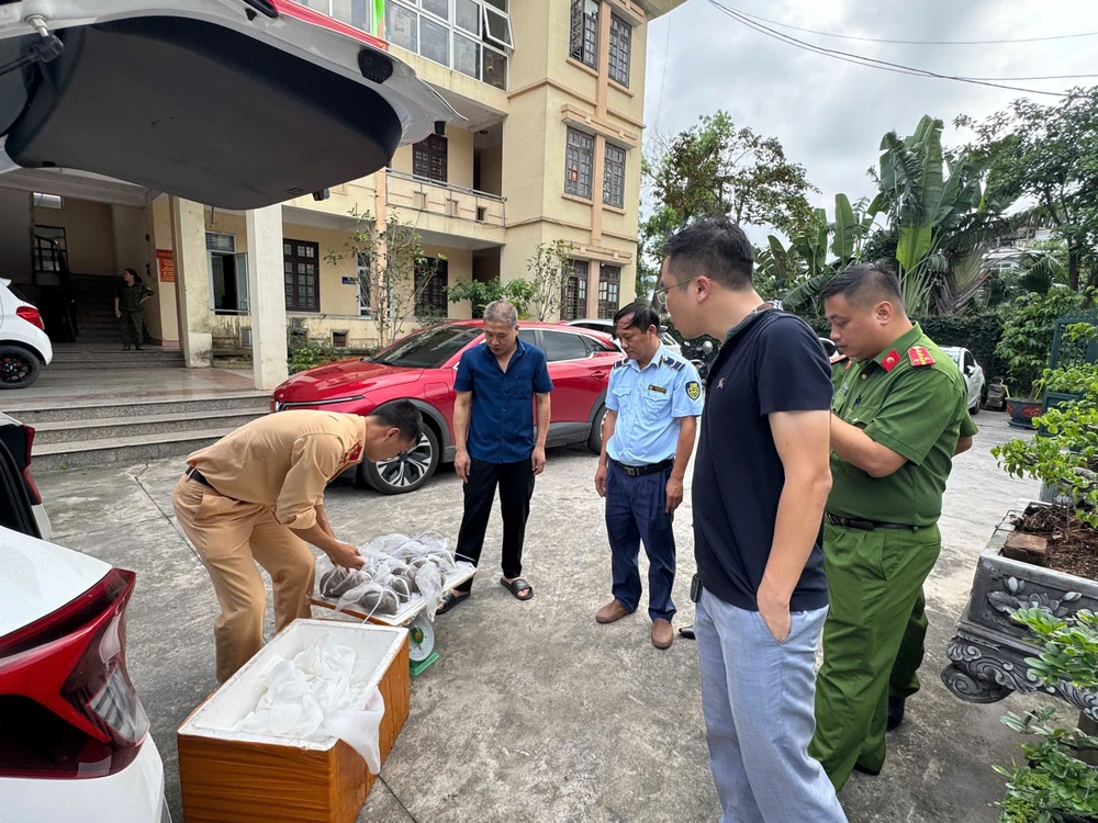 Khám thùng xốp phát hiện con giống (1) (1).jpg