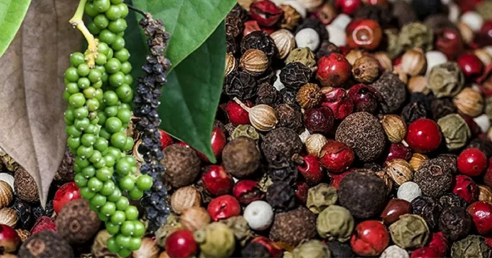 Bộ Nông nghiệp và Môi trường.png