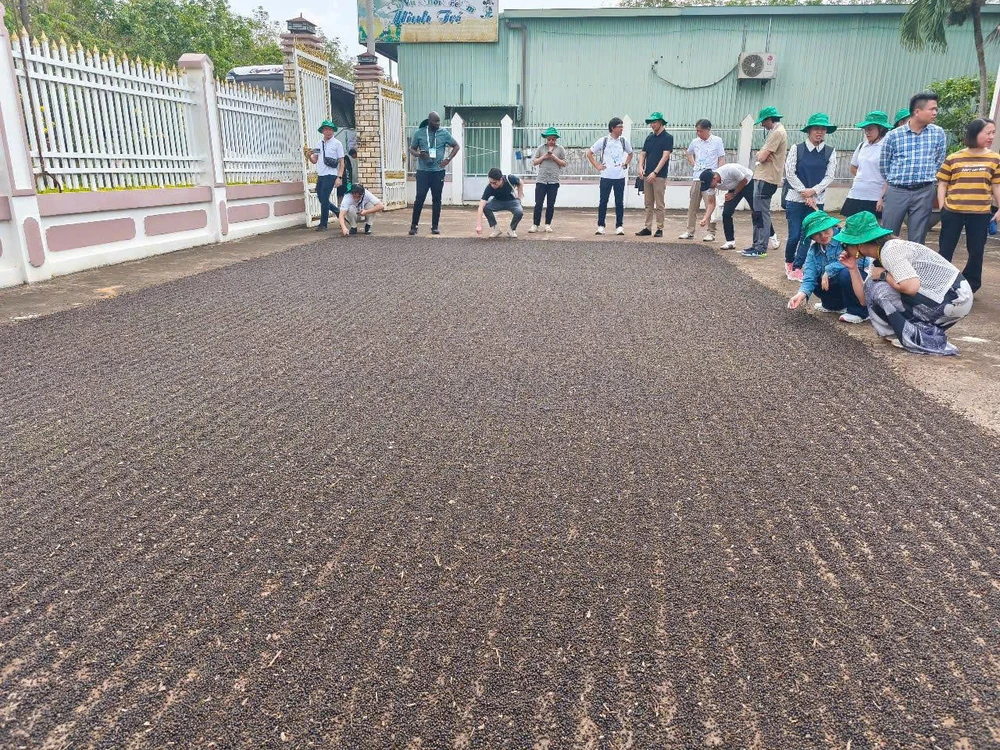 thuế GTGT mới...jpg