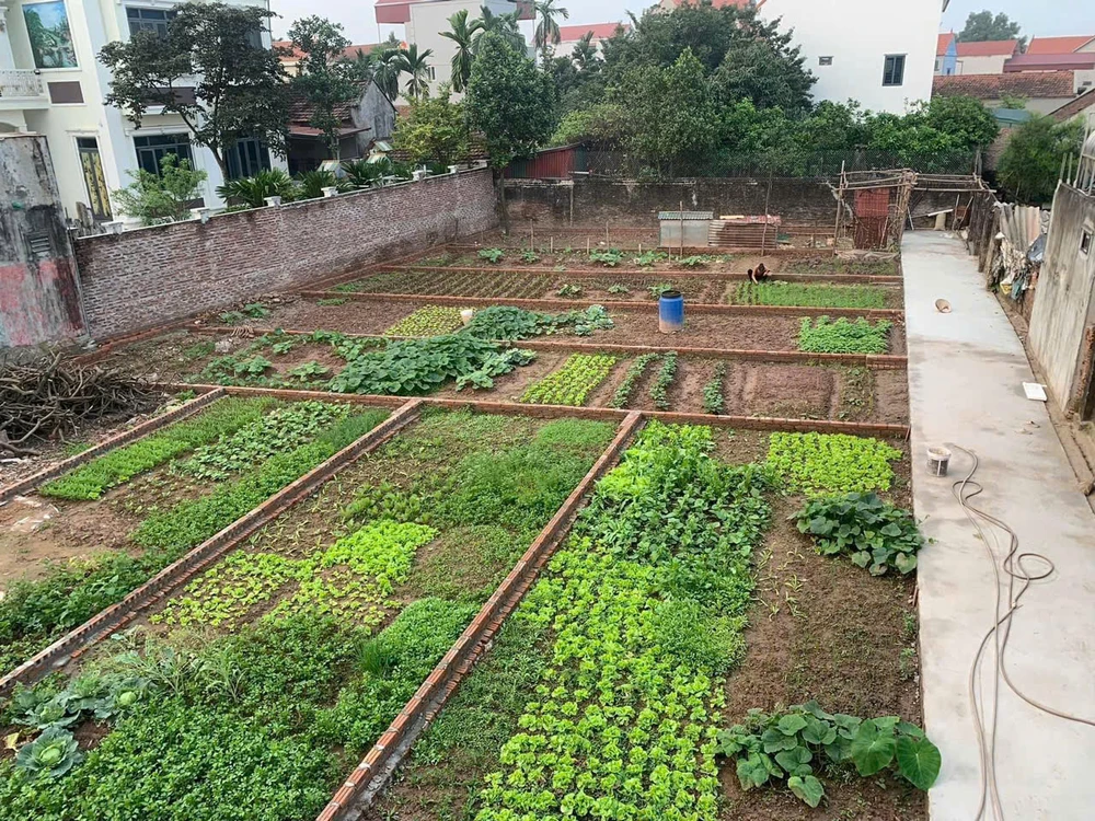 tiền thuê đất.jpg