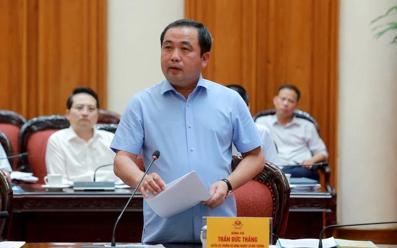 Phó Thủ tướng.jpg