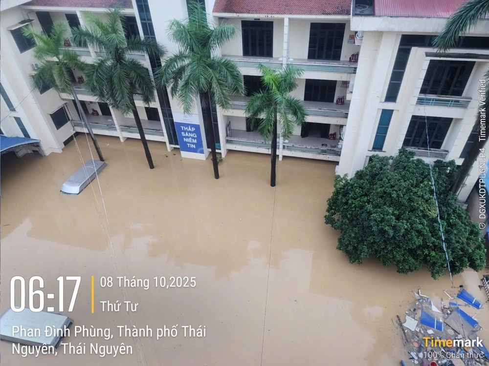 Công ty điện lực Thái Nguyên.jpg