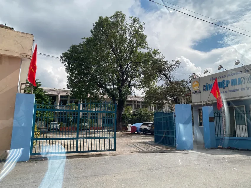 THỊT BÒ GIẢ.JPG