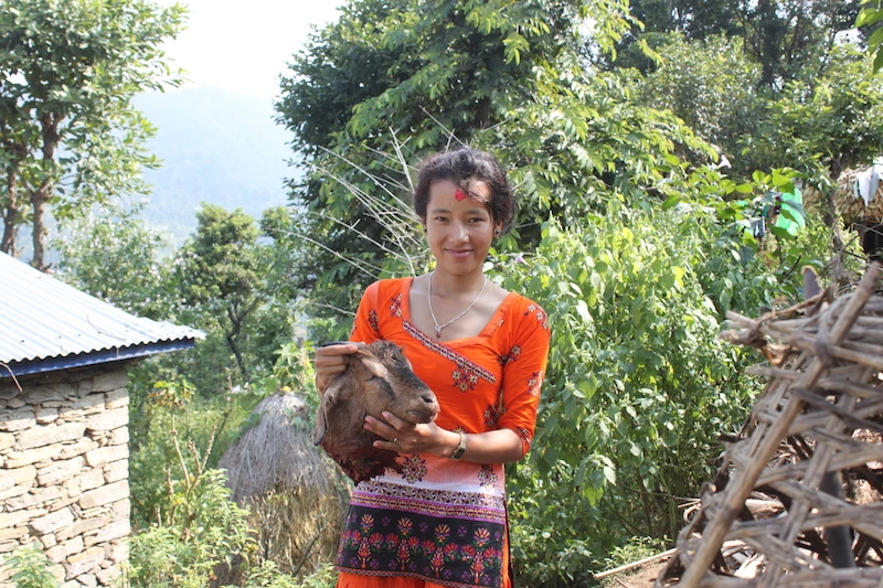 Lễ hội chém đầu dê 'dã man' ở Nepal ảnh 9 Lễ hội chém đầu dê 'dã man' ở Nepal ảnh 9