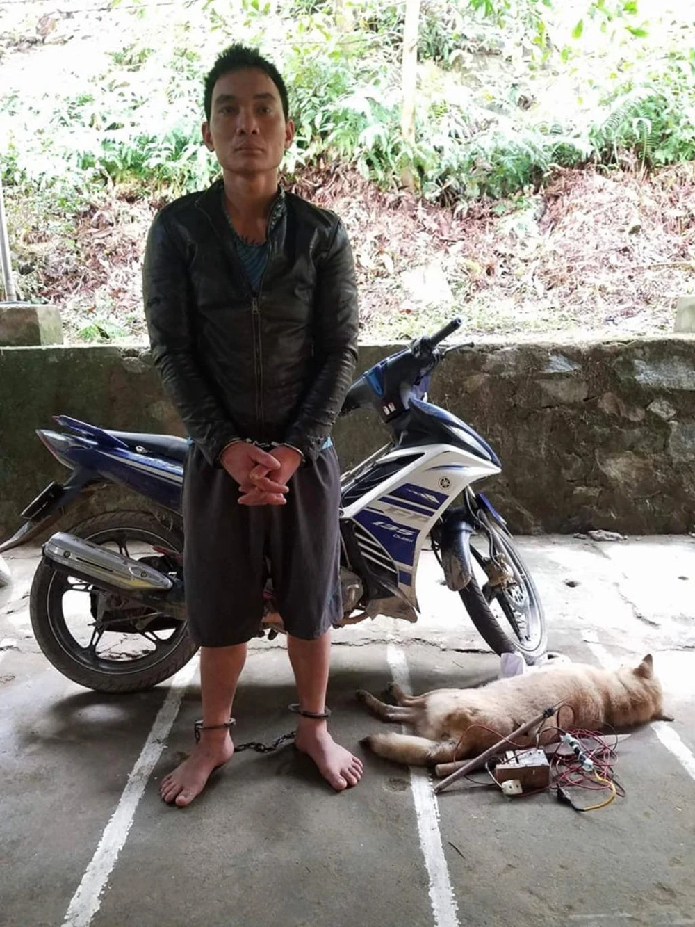 ‘Cẩu tặc’ bị khởi tố tội trộm cắp tài sản ảnh 1