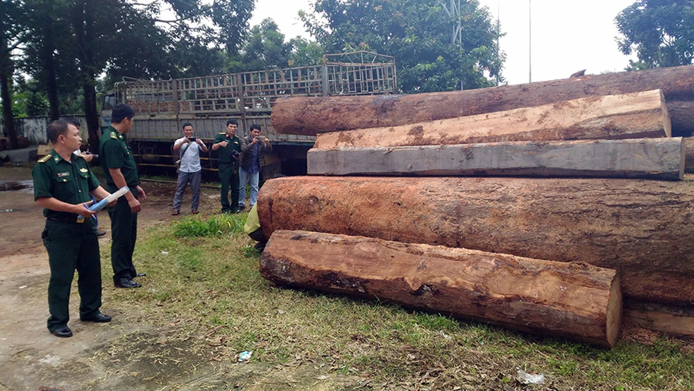 3 đồng phạm của Hùng 'Sida' đầu thú ảnh 2